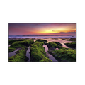 Pantalla LED Profesional 65 Pulgadas UHD 4K 3840x2160 — SAMSUNG ELECTRONICS