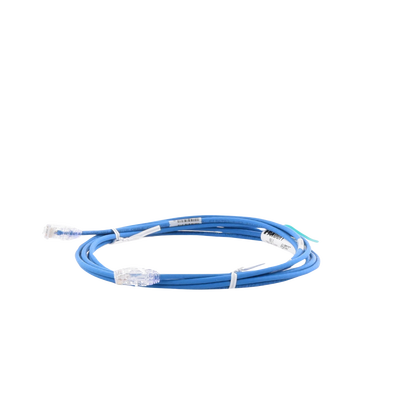 Patch Cord Cat6 UTP 3.05 m Azul — Panduit