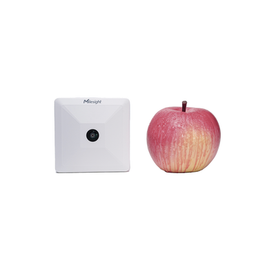 Sensor Inteligente de Presencia y Conteo de Personas LoRaWAN — Milesight