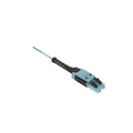 Jumper de Fibra Óptica Multimodo 50 — PANDUIT