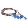 Kit de 12 Pigtails SC UPC Monomodo 2 Metros (6.56 Pies) — LINKEDPRO BY EPCOM