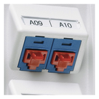 Kit de 10 Dispositivos para Bloquear Puertos Jack RJ45, Color Negro, Inc — PANDUIT