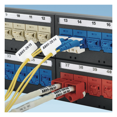 Kit de 10 Dispositivos para Bloquear Puertos Jack RJ45, Color Negro, Inc — PANDUIT